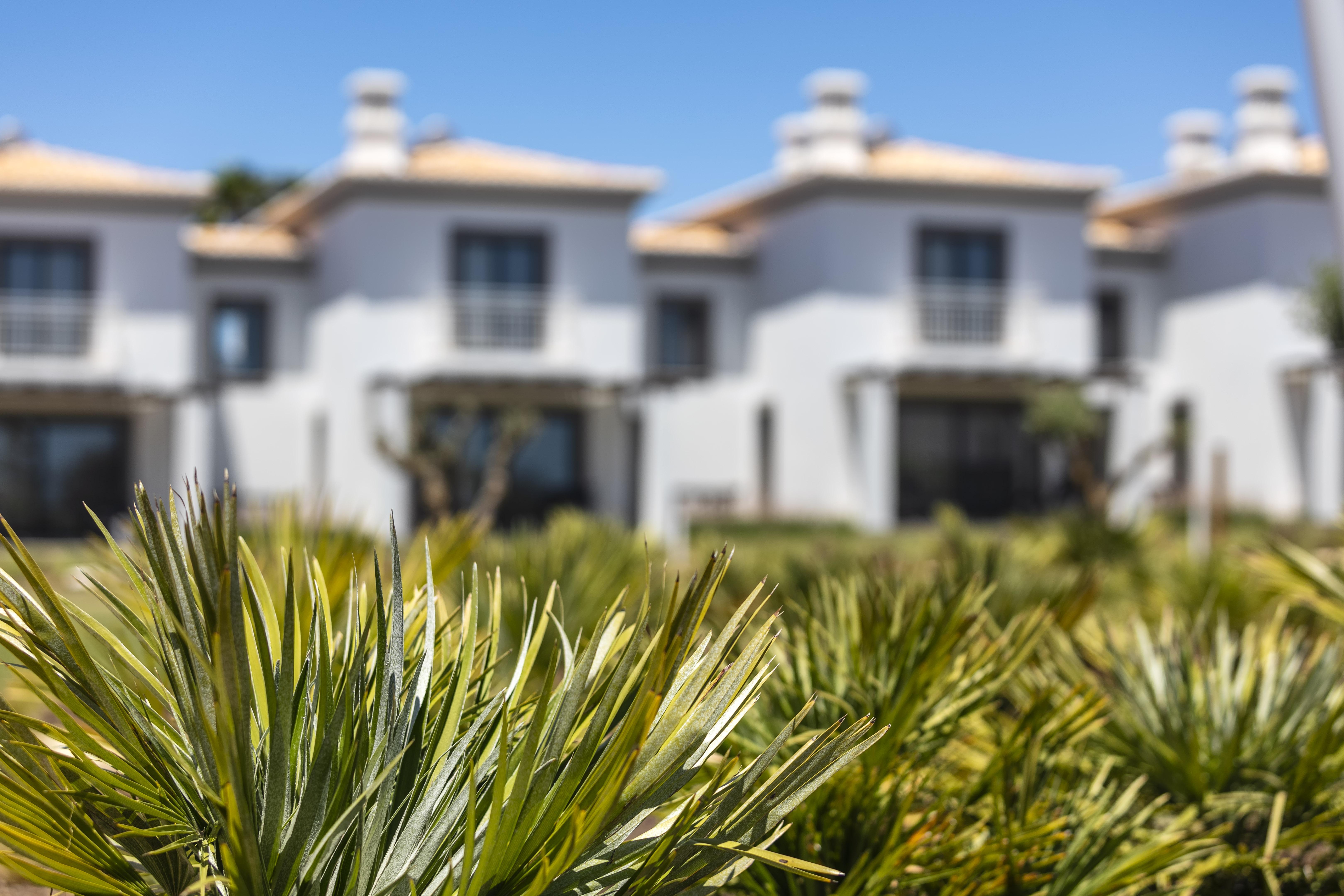 Quinta Do Algarvio Village Carvoeiro  Exterior photo